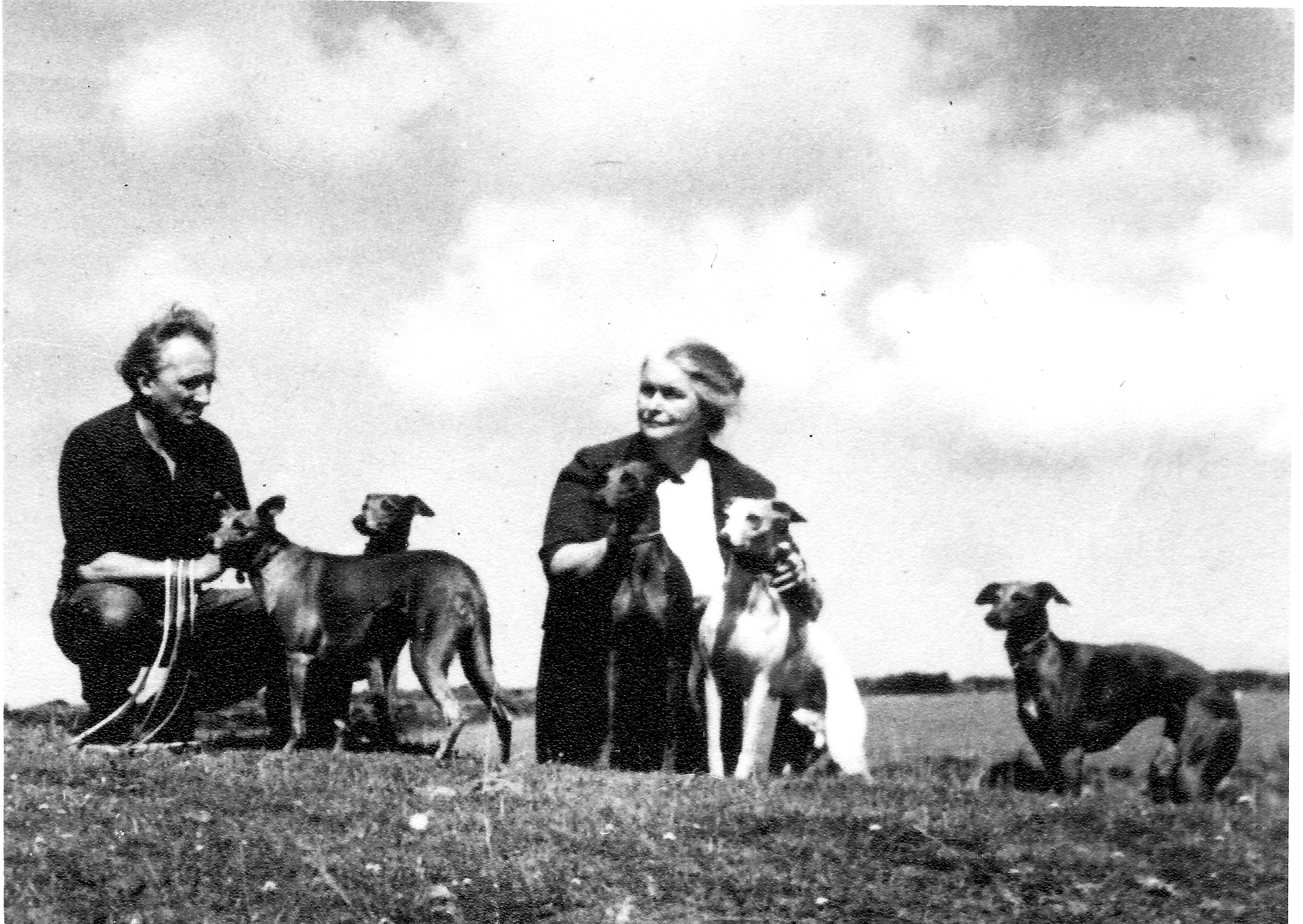 Sofka, Jack and whippets on Bodmin Moor