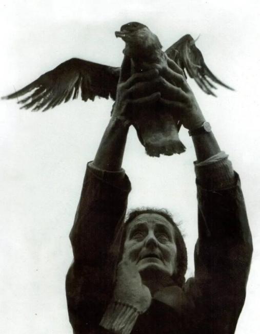 A photograph of Dorothy Yglesias releasing a bird. She is lifting the bird into the air above her head.